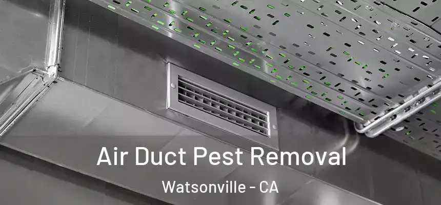 Air Duct Pest Removal Watsonville - CA