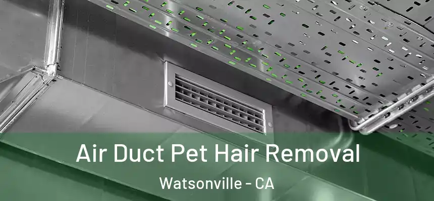  Air Duct Pet Hair Removal Watsonville - CA