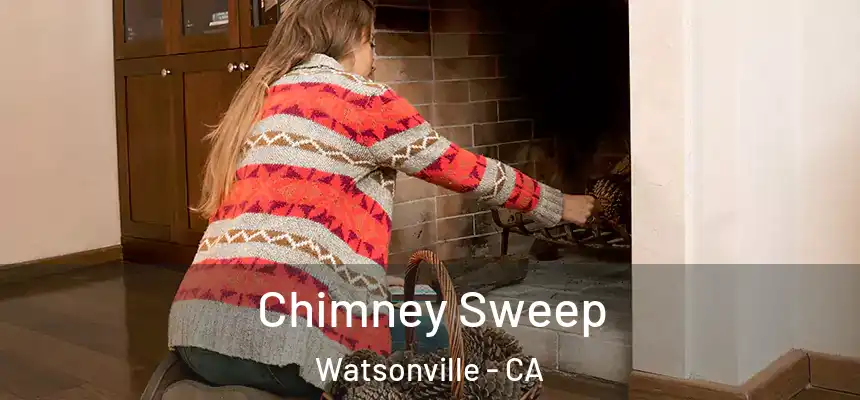  Chimney Sweep Watsonville - CA