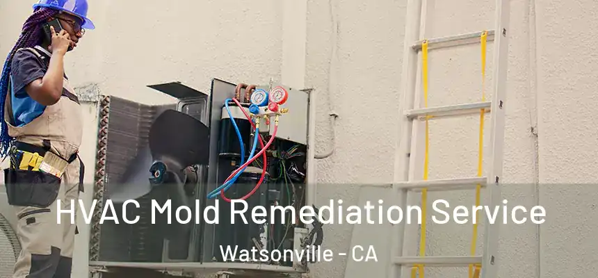 HVAC Mold Remediation Service Watsonville - CA