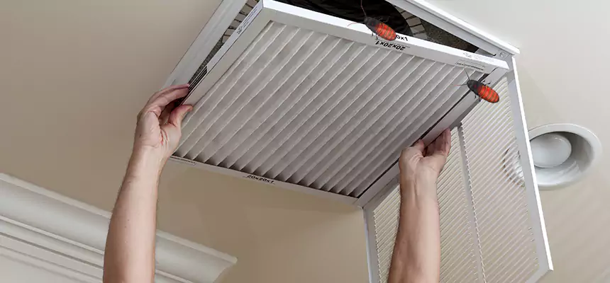 Preventive Cockroach-Proofing for Ducts in Watsonville