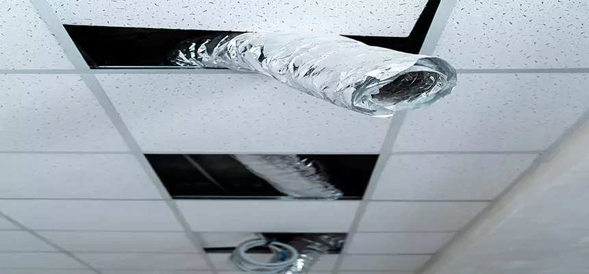 Affordable HVAC Sanitizing After Pest Removal in Watsonville