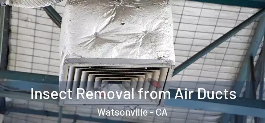 Insect Removal from Air Ducts Watsonville - CA