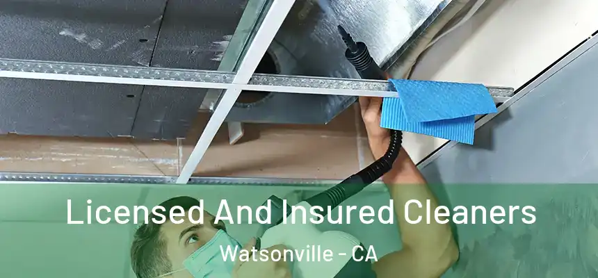  Licensed And Insured Cleaners Watsonville - CA