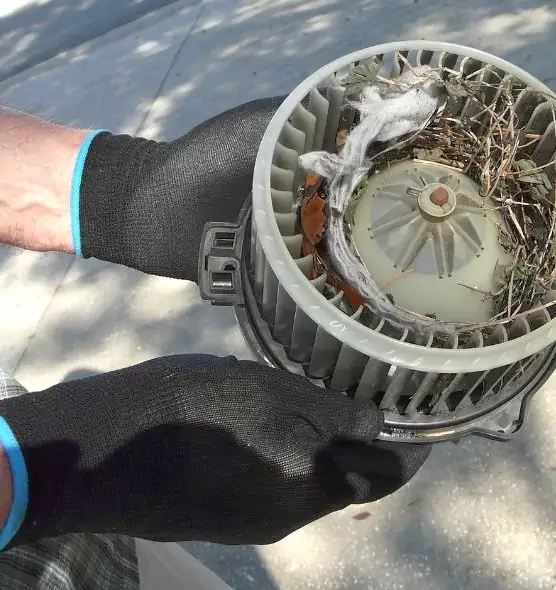 About Air Duct Rat Removal in Watsonville, CA