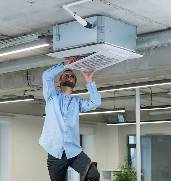 Advanced Rodent Droppings In Vents in Watsonville, CA