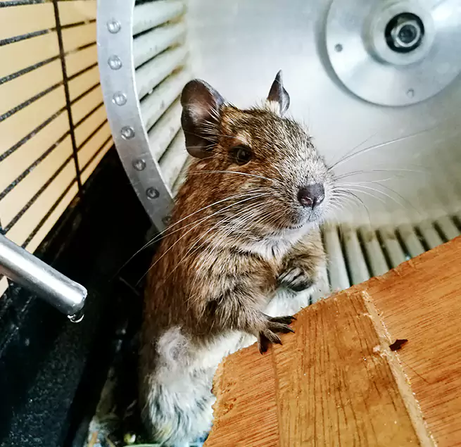 Why Homeowners & Businesses Trust Us Watsonville, CA?