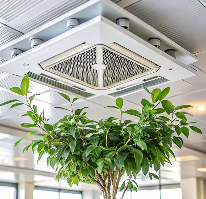 Why Homeowners & Businesses Trust Us in Watsonville, CA?