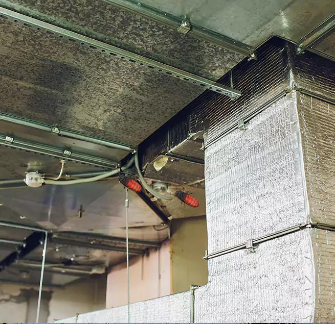 Why Homeowners & Businesses Trust Us Watsonville, CA?