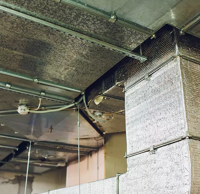 Why Homeowners & Businesses Trust Us in Watsonville, CA?